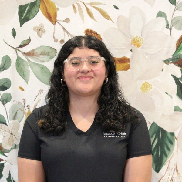 Lesly bio image