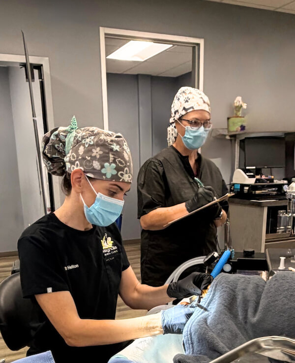 Dr Helton performing dental work on patient