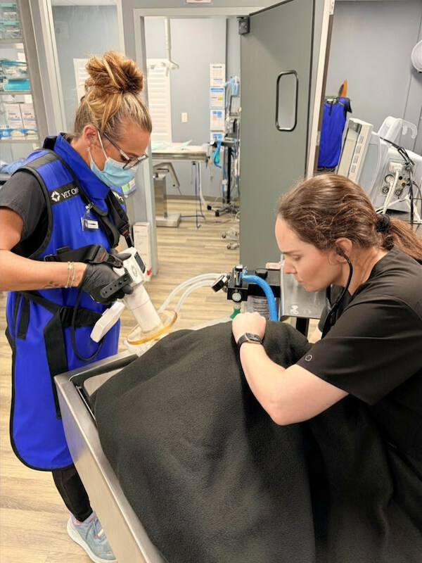 Two staff members performing dental care on a patient