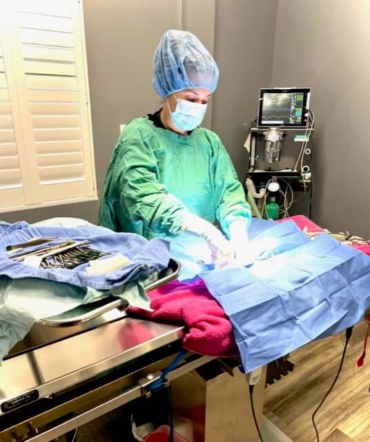 Vet doing a surgery