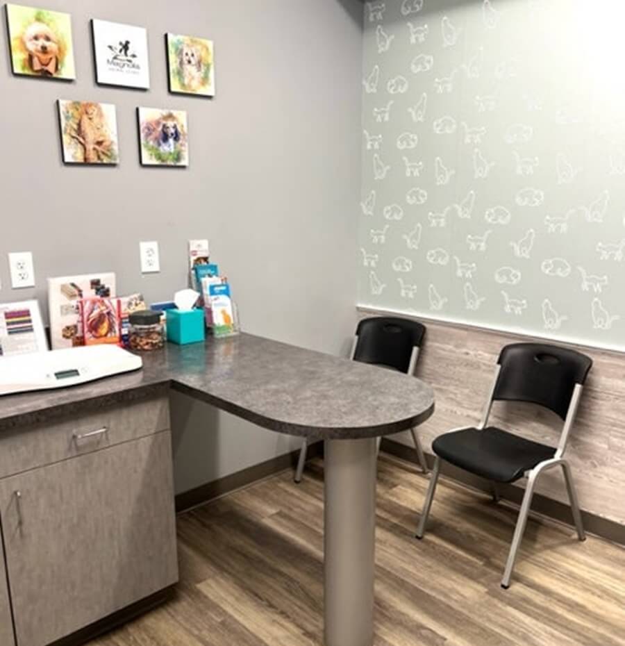 doctors rooms where they examine pets